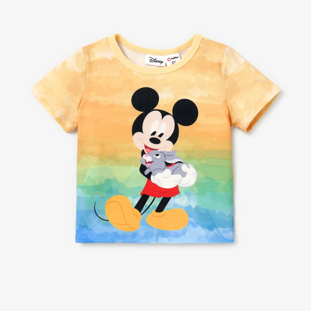 Disney Mickey and Friends 1pc Toddler/Kid Girl/Boy Character Tyedyed/Stripe/Colorful Print Naia™ Short-sleeve Tee Color block big image 1