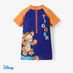 Disney Winnie the Pooh Baby Girl/Boy Character Print Zip Front One Piece Swimsuit DeepBlue