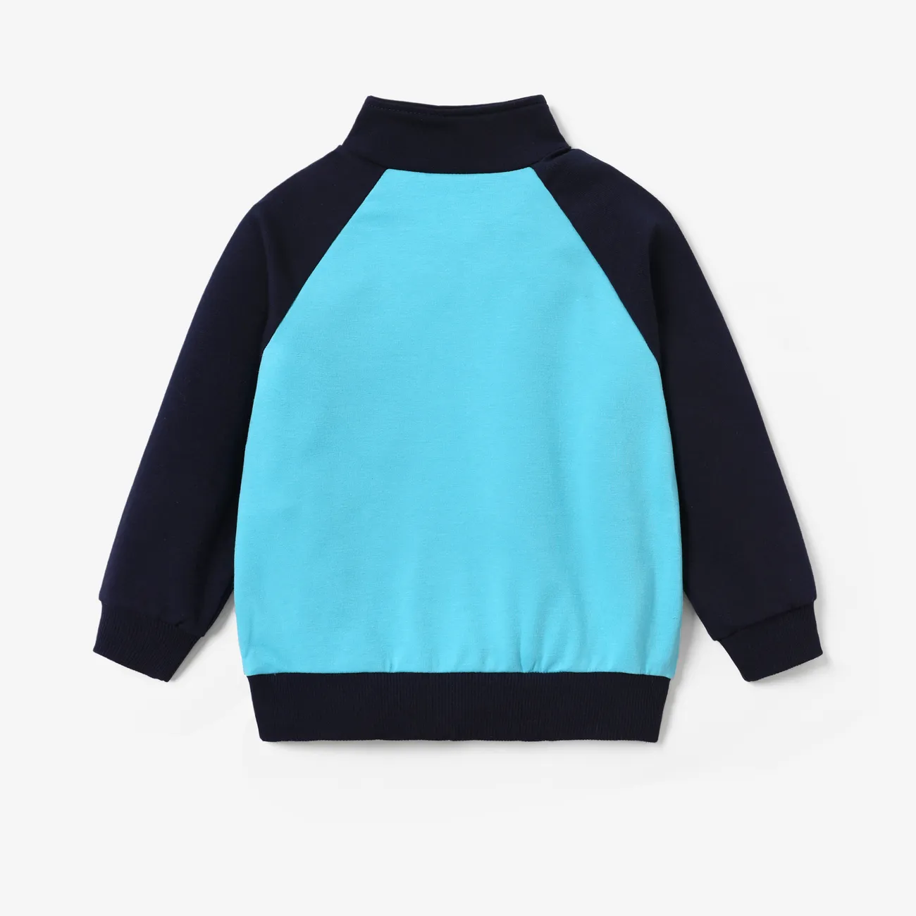 Looney Tunes Pâques Enfant en bas âge Unisexe Couture de tissus Enfantin Sweat-shirt Bleu big image 1