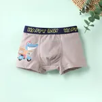 Kid Boy's Childlike Dinosaur Cotton Underwear  Light Grey