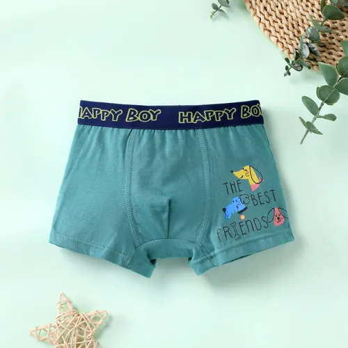 Kid Boy's Childlike Dinosaur Cotton Underwear 