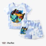 Looney Tunes 2pcs Toddler/Kid Boy/Girl Tyedyed Casual Sets
 Blue
