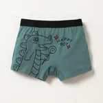 Dinosaure Toddler/Kid Boys' Underwear Cotton Set Vert