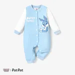 Looney Tunes Baby Boy/Girl Contrast Color Positioning Printed Romper Blue