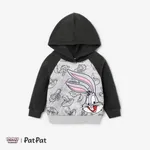 Looney Tunes Toddler Boy/Girl Character Print Polar Fleece Hoodies  Grey