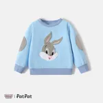Looney Tunes Baby Boy/Girl Animal Embroidered Long-sleeve Sweatshirt/ Sweatpants/ Vest Blue grey