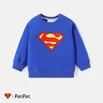 Justice League Toddler Boy/Girl Cotton Pullover Sweatshirt Blue