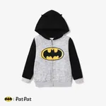 Justice League Toddler Boy Character Print Long-sleeve Hooded Jacket Grey