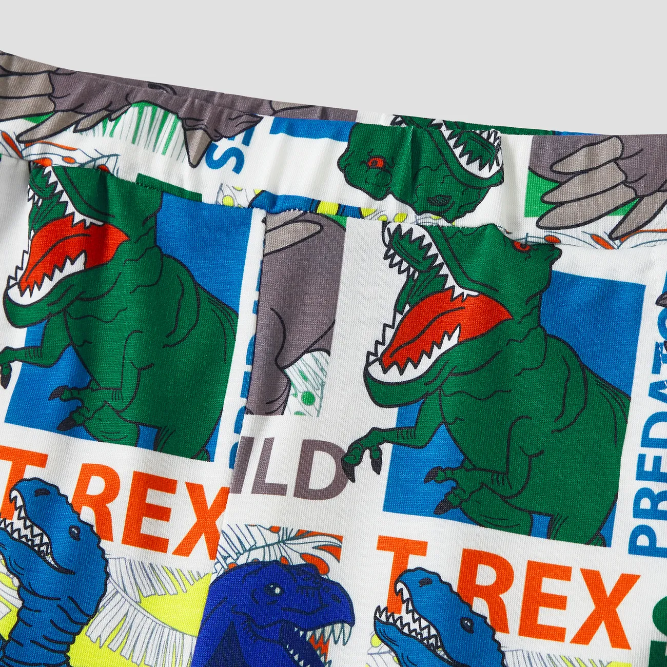 Family Matching T-REX Short-Sleeve Tee and Allover Dinosaur Shorts Pajamas Sets (Flame Resistant) Blue big image 1