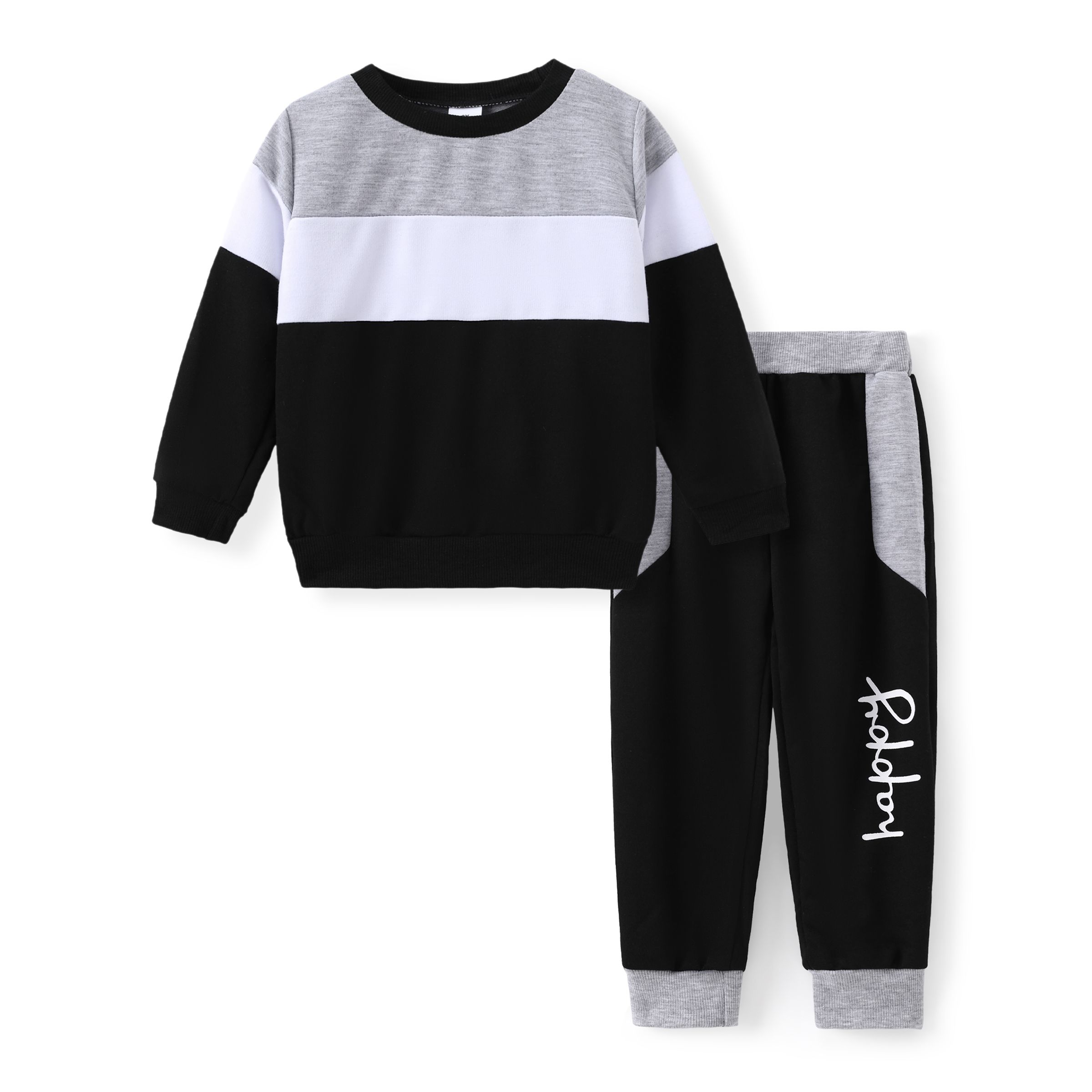 

2pcs Toddler Girl Trendy Colorblock Sweatshirt and Elasticized Pants Set