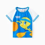 Looney Tunes 兒童/幼兒男孩拼色籃球運動 T 恤 藍白色