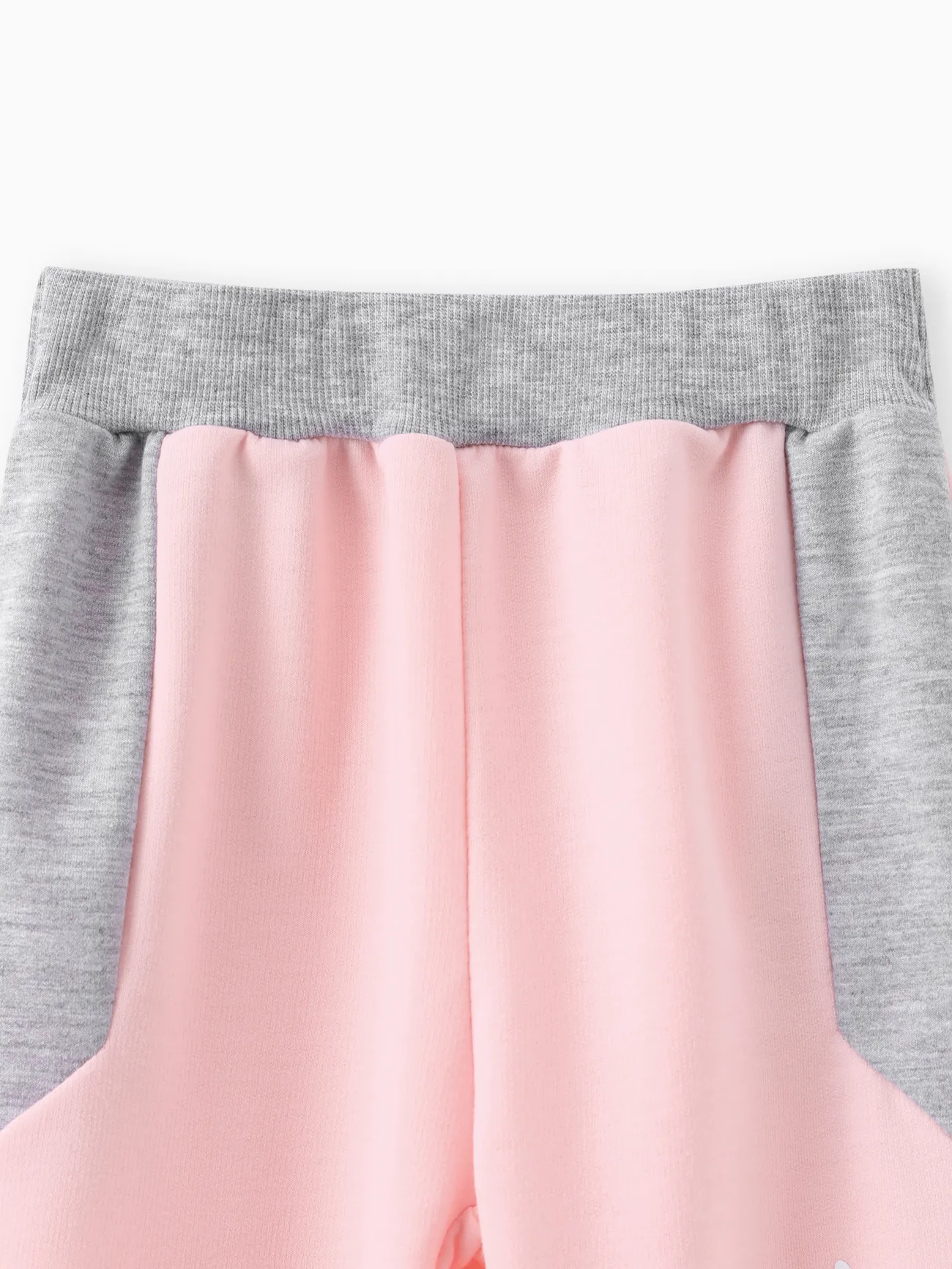 MultiColour - Toddler Boy/Girl 2pcs Colorblock Sweatshirt and Pants Set - image 4