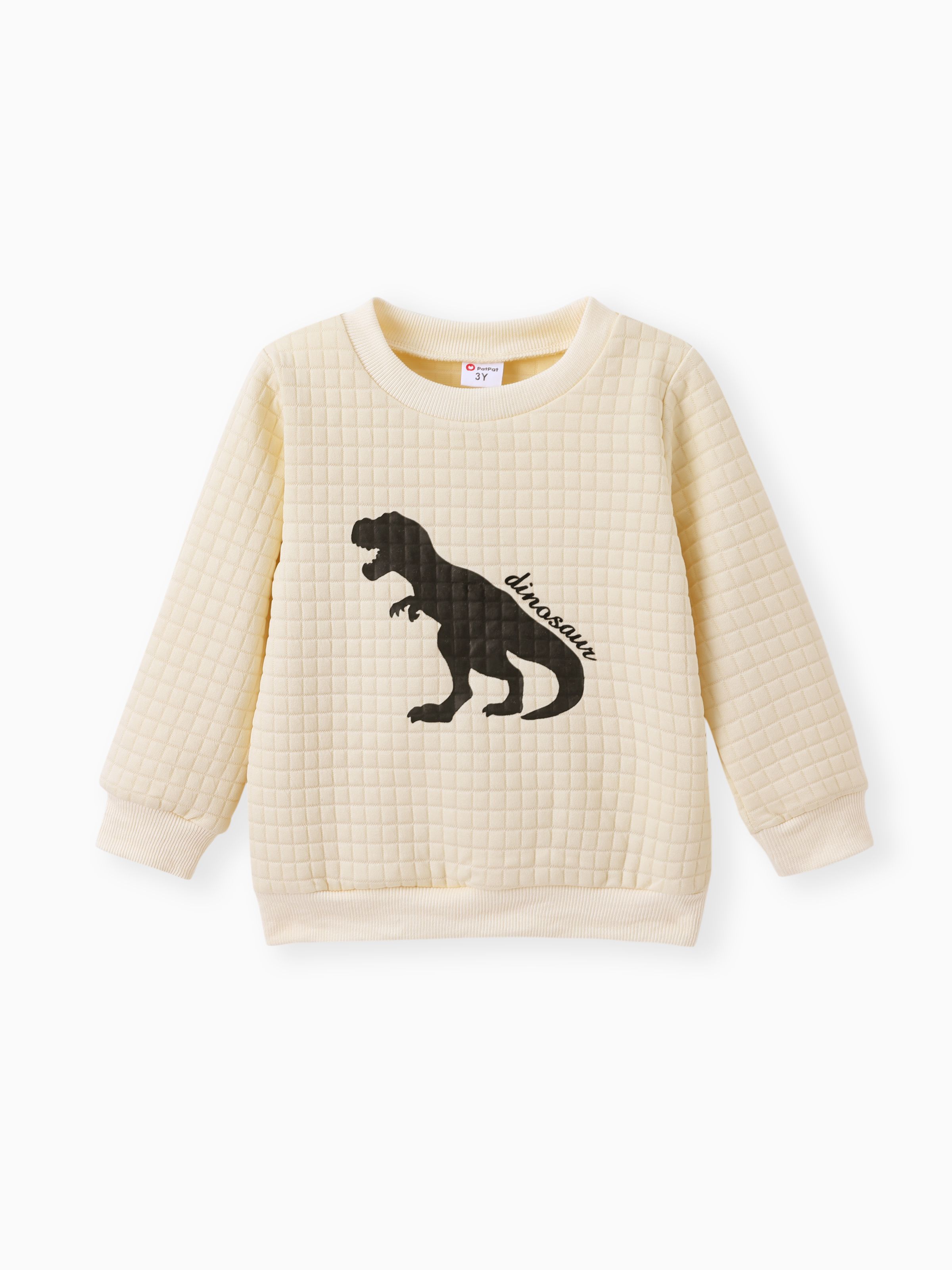 

Toddler Boy Letter Dinosaur Print Textured Pullover Sweatshirt