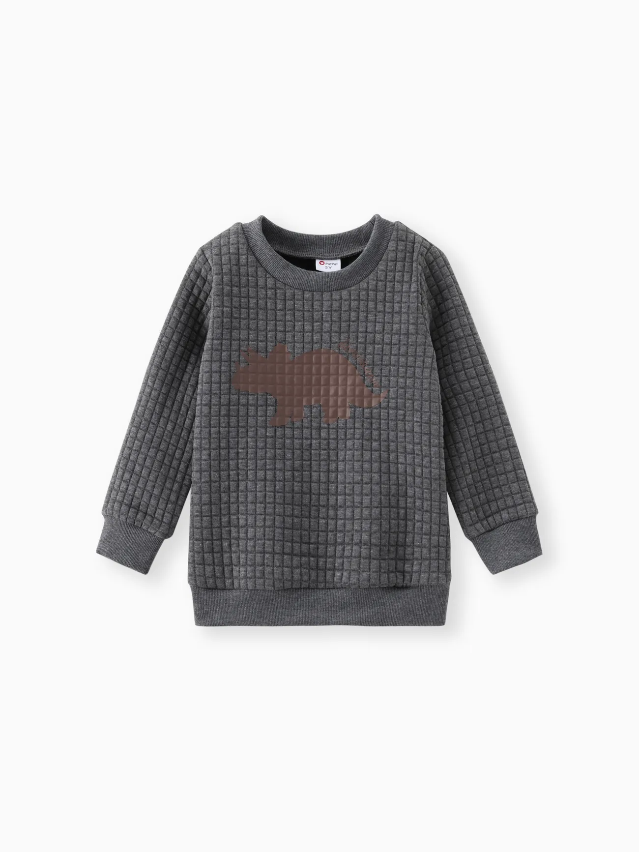 niño pequeño letra dinosaurio estampado con textura sudadera pullover