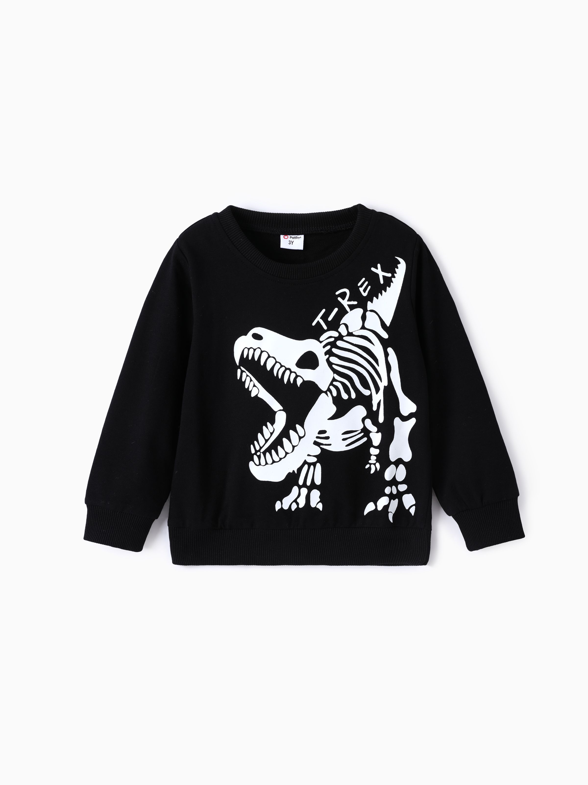 

Toddler/Kid Boy Dinosaur Pattern Sweatshirt