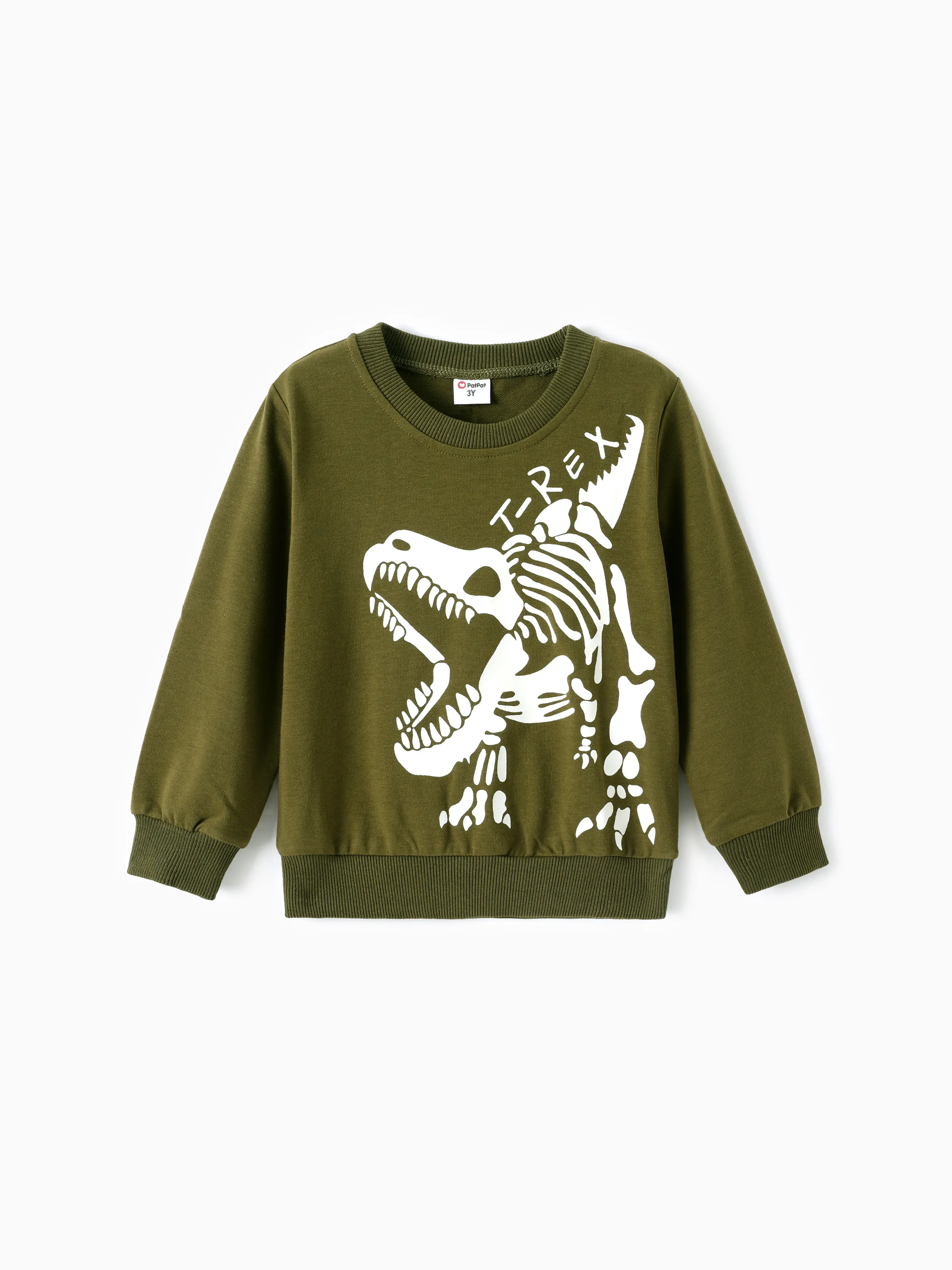 

Toddler/Kid Boy Dinosaur Pattern Sweatshirt