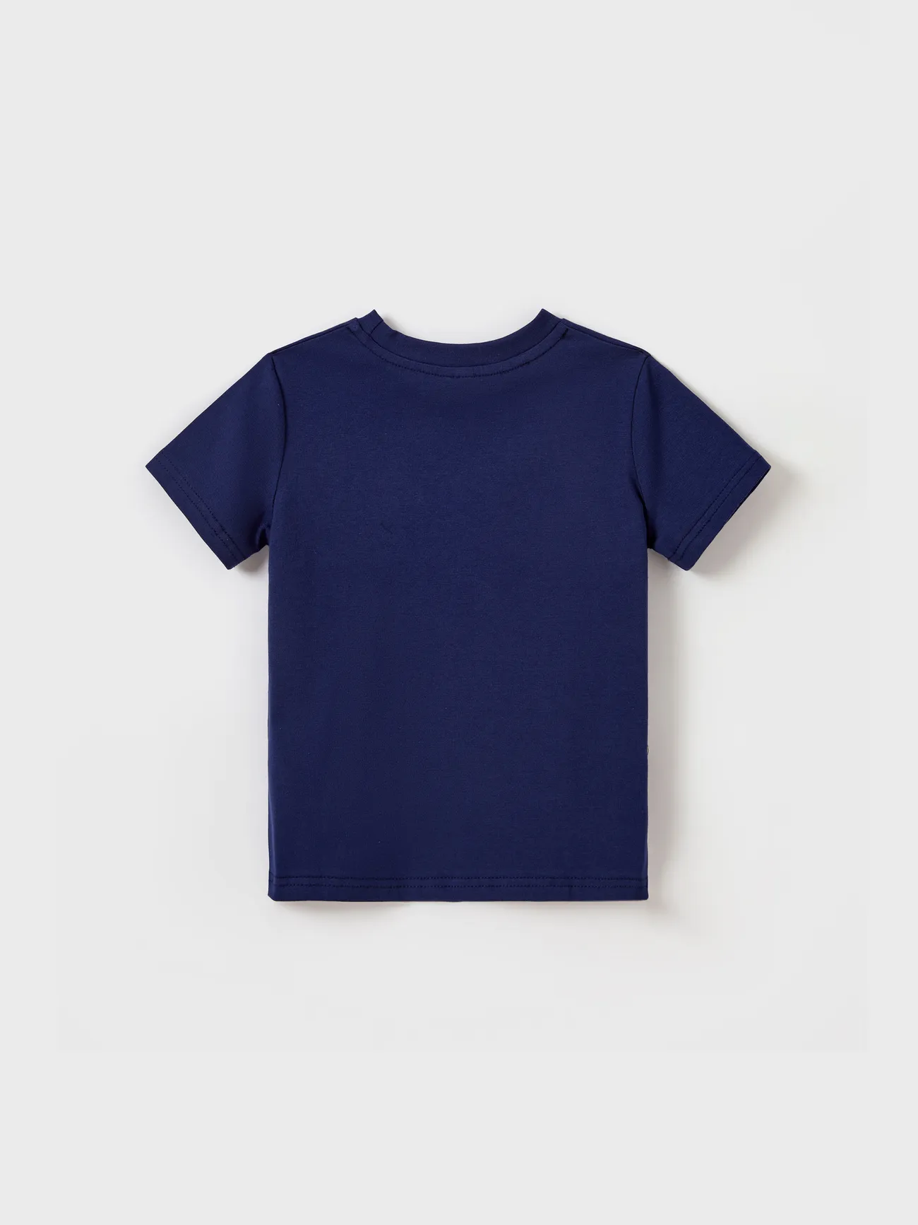 Boy - Family Matching Blue Colorblock Tee or Leaf Print Smocking Puff-sleeve Dress Set - Blue - image 20