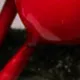 عيد الميلاد قطن حزب ديكور مجموعة - أنيقة، لا جنس، 3 قطع اللون ج