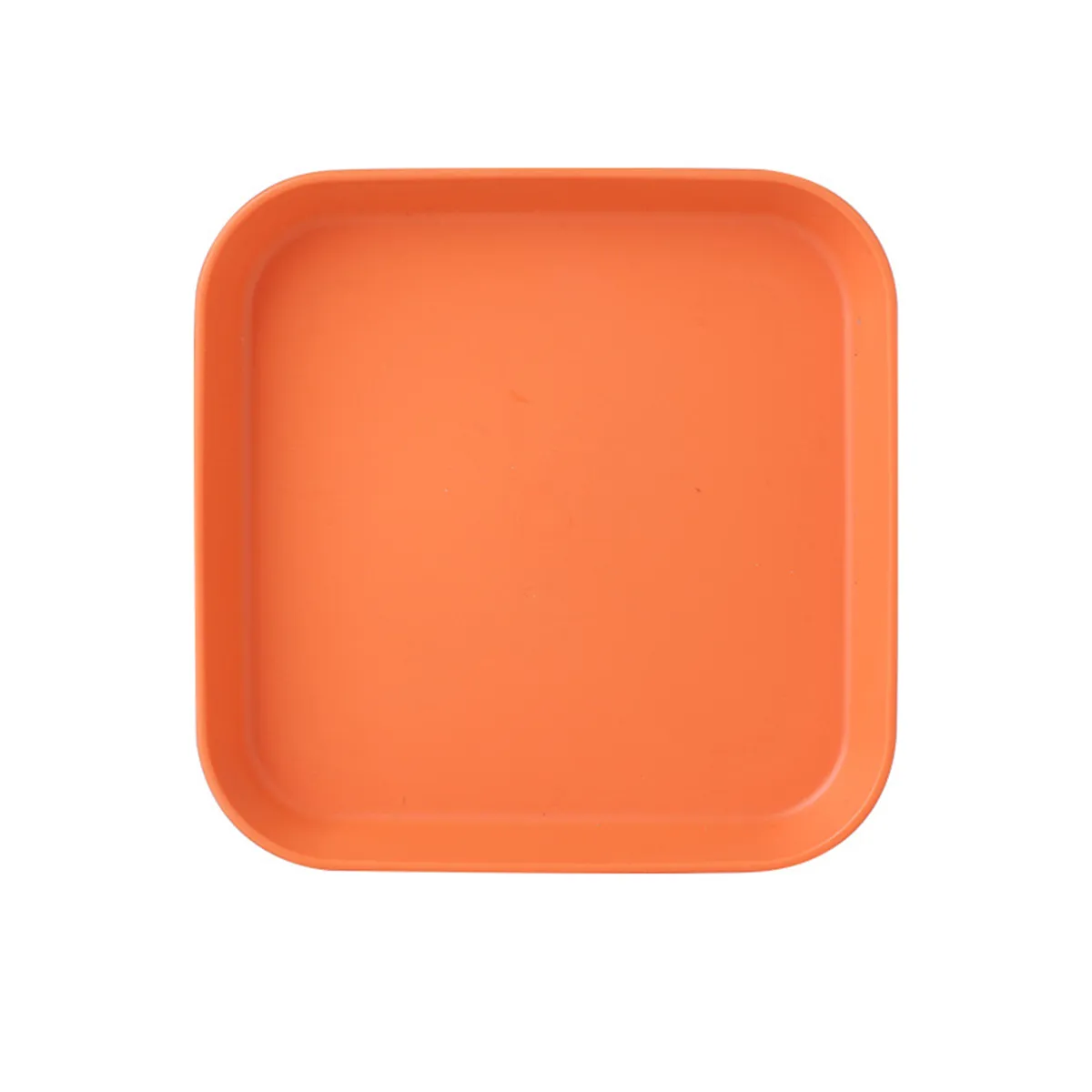 Set of 5 Plastic Plates for Snacks with Table Trash Tray  image 6