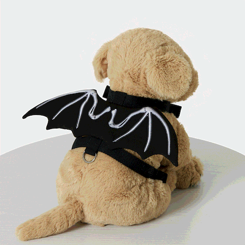 Go-Glow Illuminating Pet Collar for Small Medium Pets with Light Up Wings Including Controller (Built-In Battery) Black big image 2