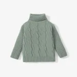 Toddler Girl/Boy Solid Cable Knit Turtleneck Sweater Grey
