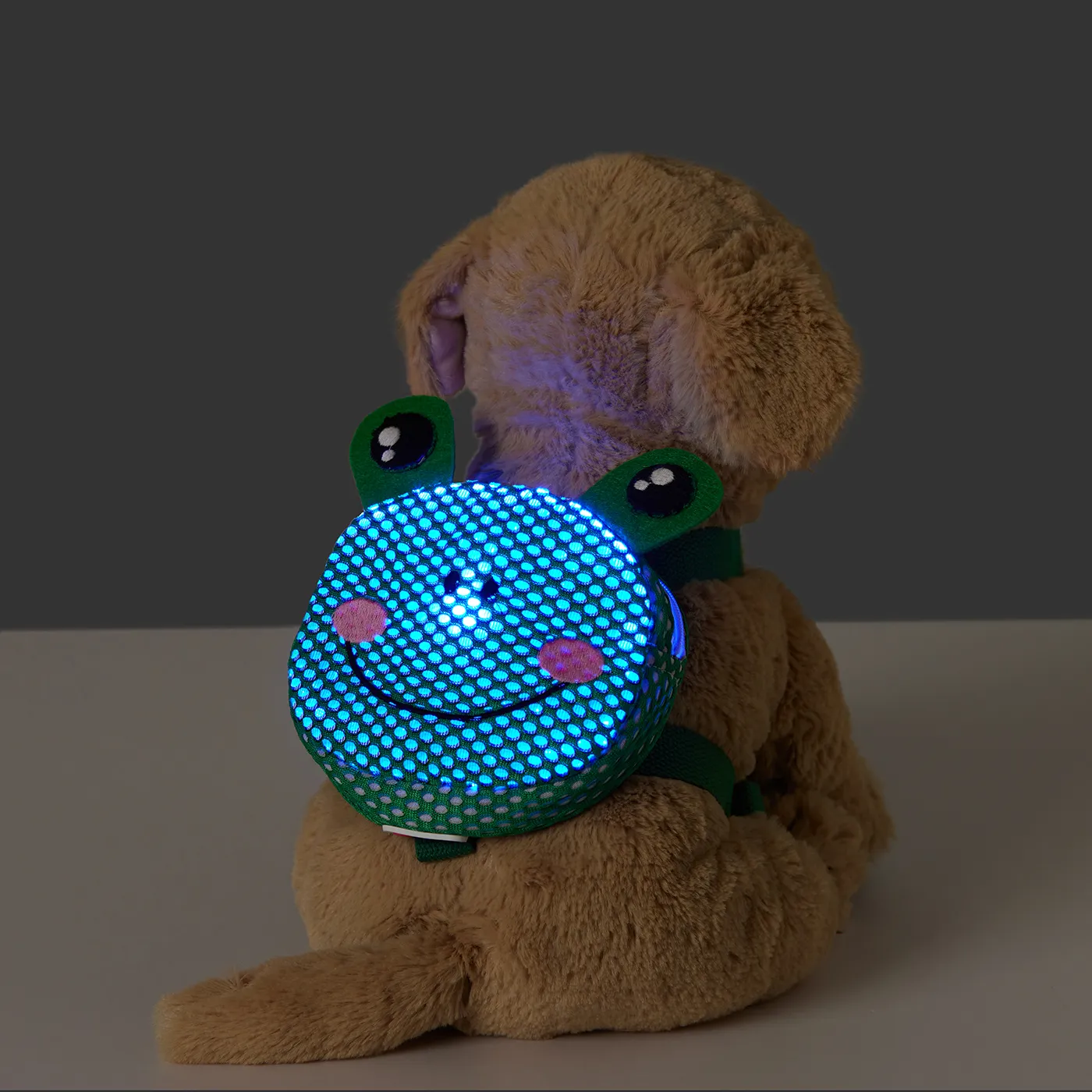 Go-Glow 照明寵物背帶包，帶發光青蛙袋，適用於中小型寵物，包括控制器（內置電池）