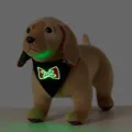 Go-Glow Light Up Pet Bandana with Color-block Stripes for Small Medium Pets Including Controller (Built-In Battery)  image 2