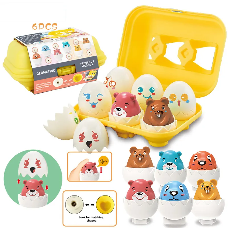 Education Pairing Egg Color-A big image 1