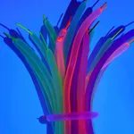 20er-Pack UV-fluoreszierende Neonballons für Partydekoration und Zaubertricks Farbe-B