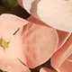 Stickkugel Macaron Simulation Blumenpflanze Bonsai für Hochzeitsdekoration champagner