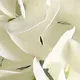 التطريز الكرة معكرون محاكاة زهرة نبات بونساي لتزيين الزفاف أبيض