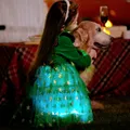 Go-Glow Christmas Family Matching Long-sleeve Tops with Christmas Tree glowing & Illuminating Dress with Light Up Skirt Including Controller (Built-In Battery) Green image 3