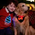 Go-Glow Light Up Pet Bandana with Color-block Stripes for Small Medium Pets Including Controller (Built-In Battery) Black image 4