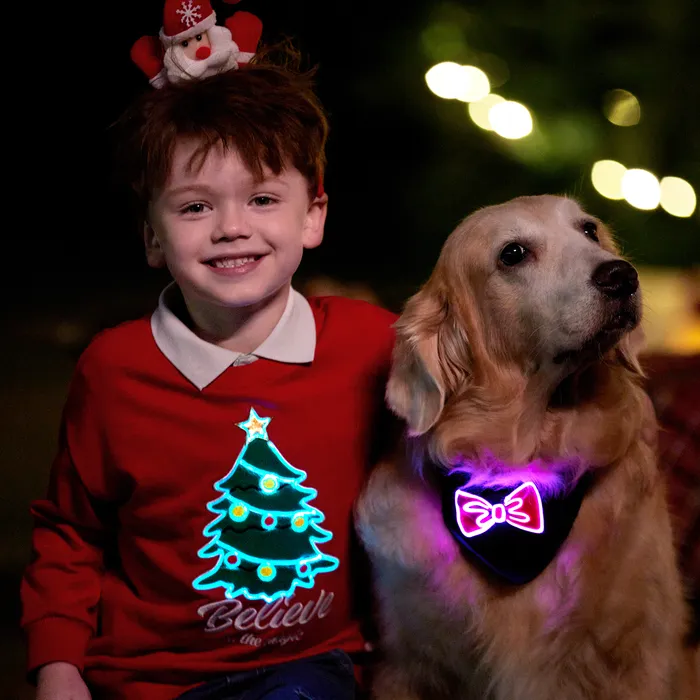 Go-Glow Light Up Pet Bandana with Color-block Stripes for Small Medium Pets Including Controller (Built-In Battery)