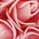 Handgemachtes konserviertes Blumeneinhorn  rosa