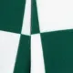 哈利波特蹣跚學步/小男孩 1 件國際象棋網格圖案學院風 Polo 衫或短褲
 綠色