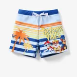 PAW Patrol Toddler Girl/Boy Swimming suit/Swimming Trunks/Hooded Towel Multi-color