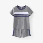 Toddler Boy 2pcs Colorblock Tee and Shorts Set Grey