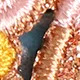 Enfant en bas âge/enfants fille enfantine brodé pinces à cheveux avec des dessins de noeud papillon de fruits animaux mignons
 kaki clair