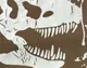 Kid Boy Dinosuar Print Tee Brown
