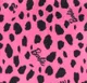 Barbie Kid Girl Leopard Print/Colorblock Waist Bag Design Sweatshirt Dress Pink