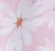 2pcs Baby Girl Little Daisy Bowknot Dress Set Pink