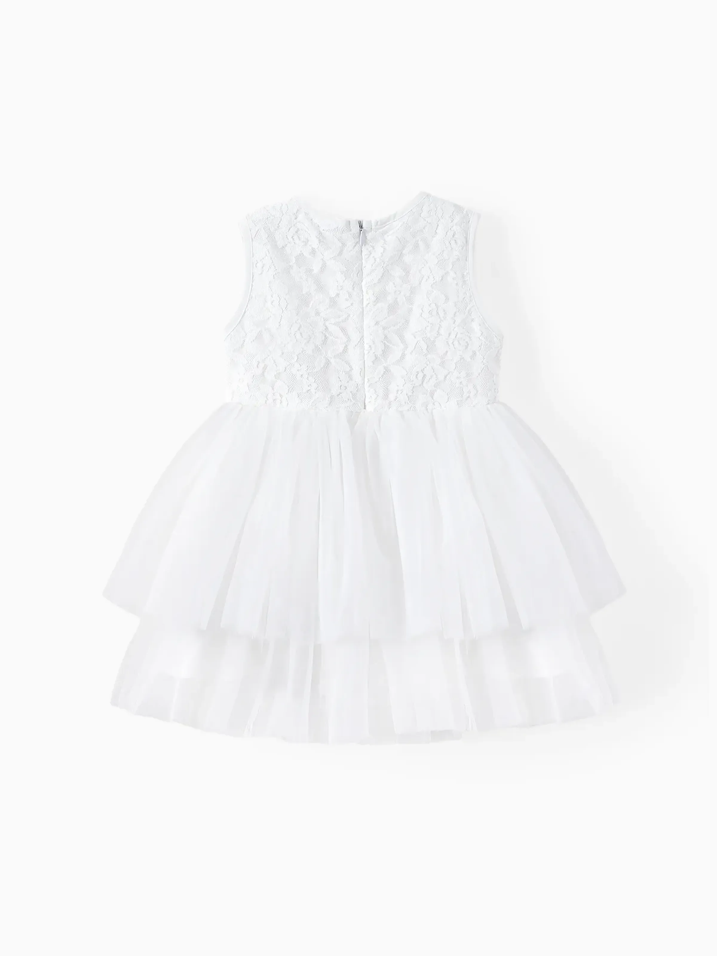 Floral Lace Layered Tulle Dress