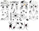 5-pack adults/children likes Halloween scary tattoo stickers BlackandWhite