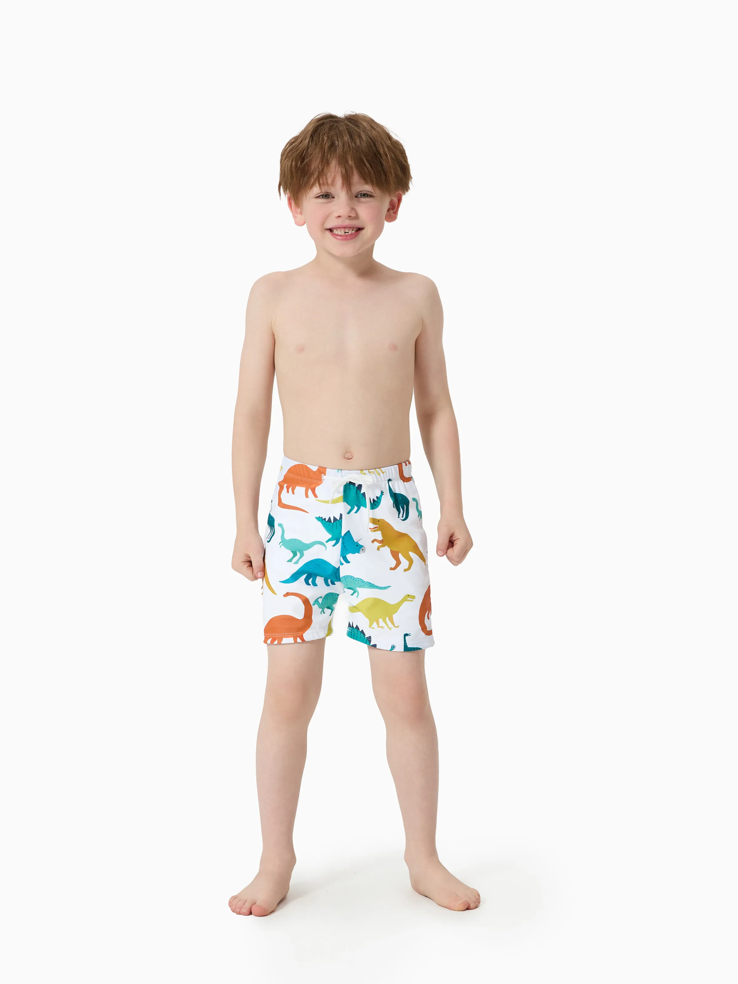 

Family Matching All Over Multicolor Dinosaur Print Swim Trunks Shorts and Ruffle Two-Piece Swimsuit