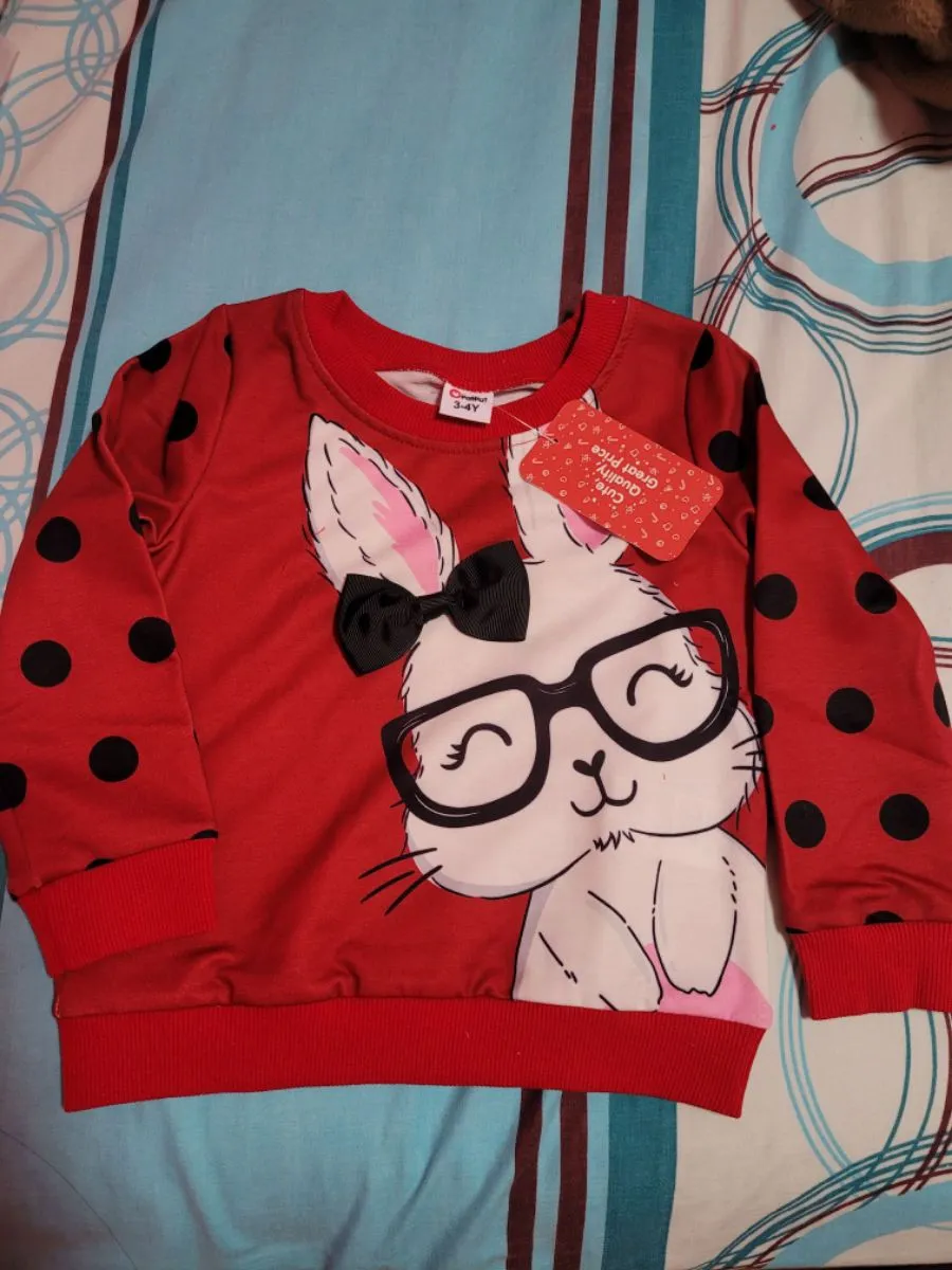 Pull Sweat Bébé Fille 18-24 Mois - Motif Lapin Et Fée - Rose/Gris - Coton - Occasion TB