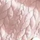 Bebé Chica Costura de tela Flor rota Informal Manga larga Monos Rosado